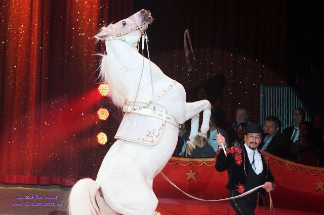 0042Heilbronner Weihnachtscircus2012(c)Stefan Nolte-www.circusphotos.de resized resized